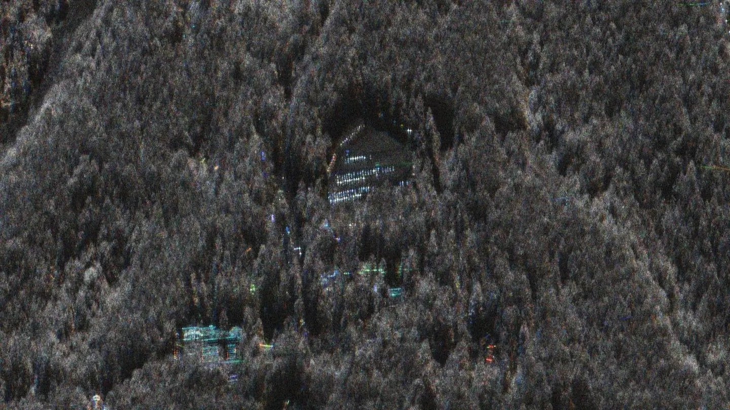csi forest reduced