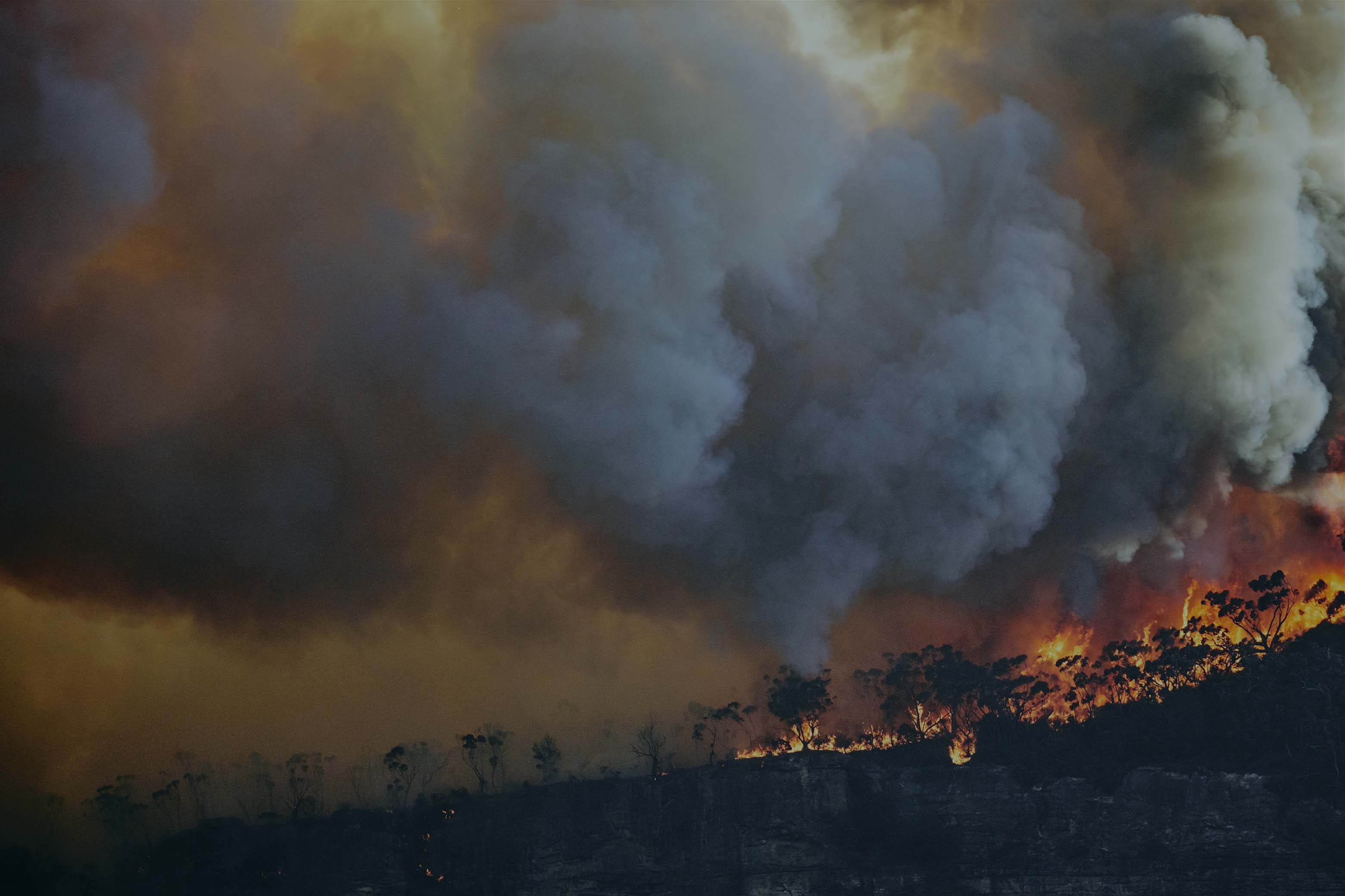 Background image with wildfire